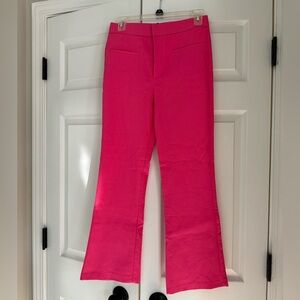 Zara Sz M Pink Pants NWT